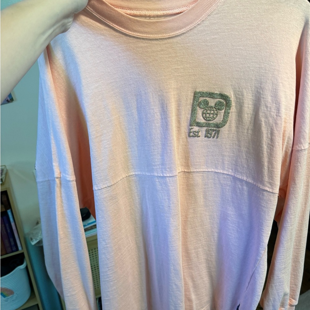 Peach Disney World spirit jersey, size small.